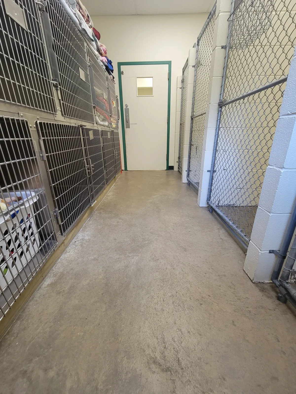 Empty animal hospital corridor with stainless steel kennels lining both sides and a green-framed door at the end, representing quality pet care facilities at a Centerville Ohio veterinary practice