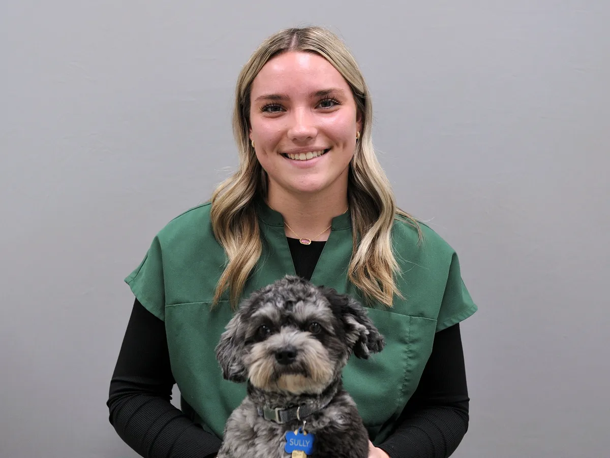 Smiling veterinarian in green scrubs holding gray and white dog with blue collar tag in Centerville Ohio animal hospital