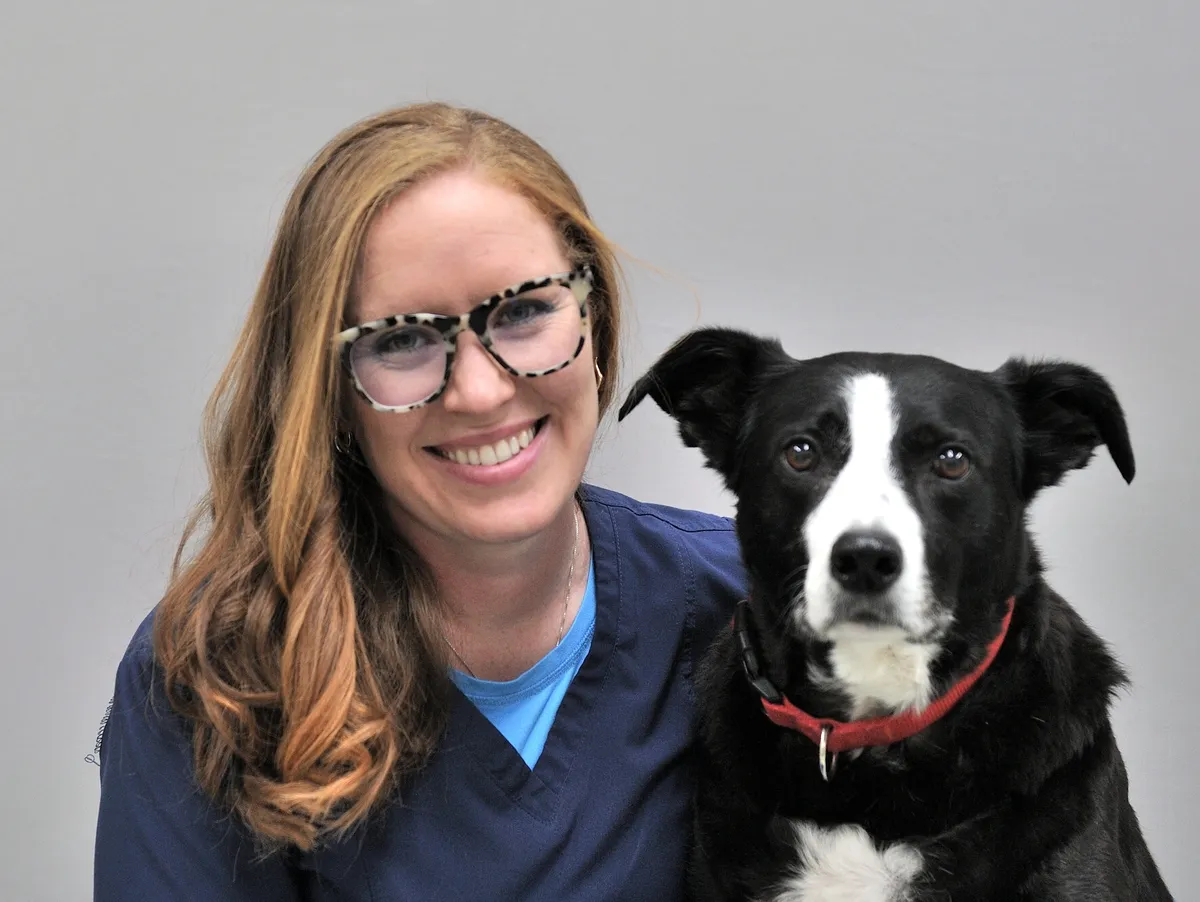 Smiling veterinarian wearing glasses and navy scrubs with a black and white dog wearing a red collar at a Centerville Ohio animal hospital