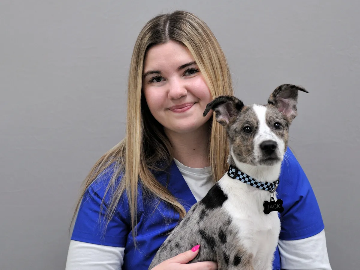 Young woman holding a gray and white dog with a checkered collar in a blue and white shirt against a gray background