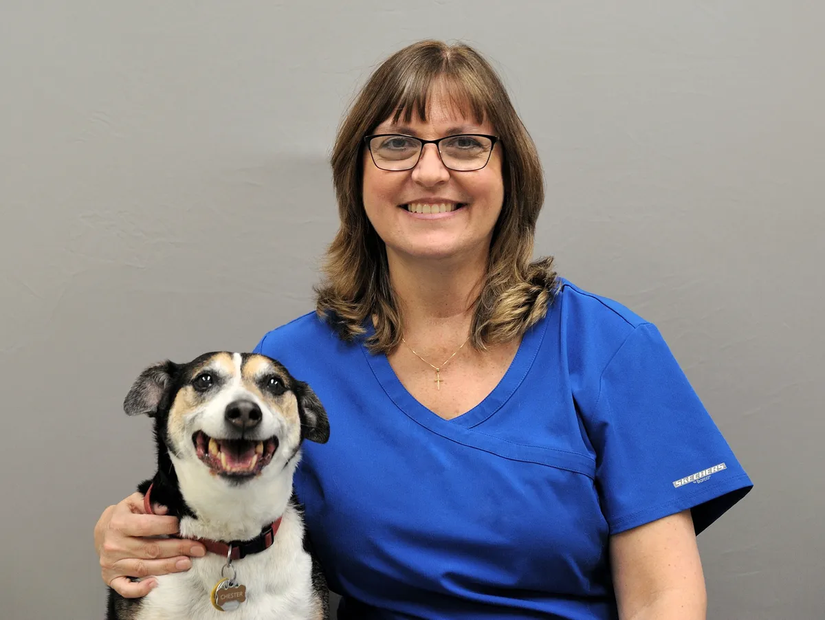 Woman wearing blue veterinary scrubs smiling while holding a happy black and white dog against a gray background