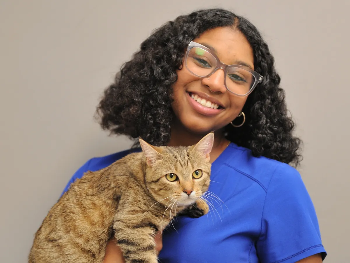 Smiling woman wearing glasses and a blue shirt holding a tabby cat with yellow eyes