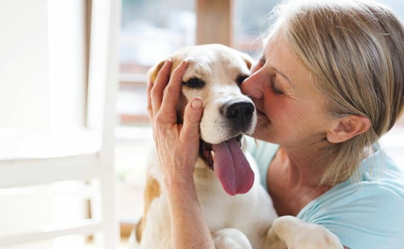 Senior woman kissing her happy white dog by a bright window, showing affection and companionship in a comfortable home setting