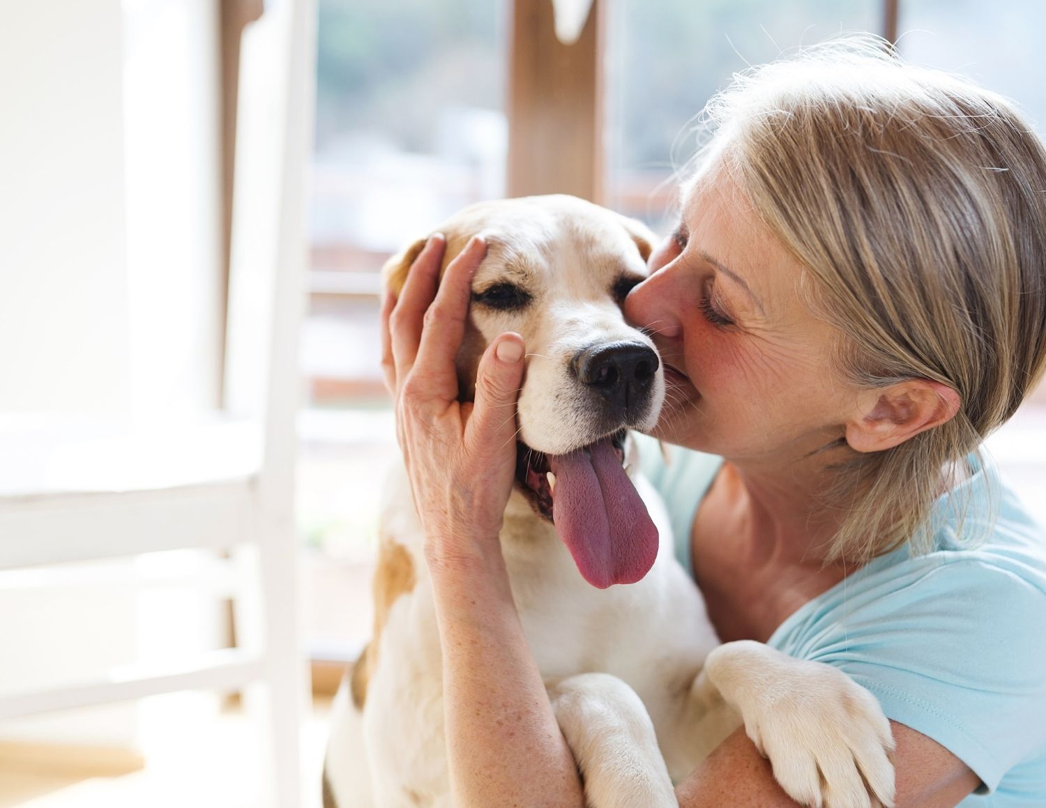 Senior woman kissing her happy white dog by a bright window, showing affection and companionship in a comfortable home setting