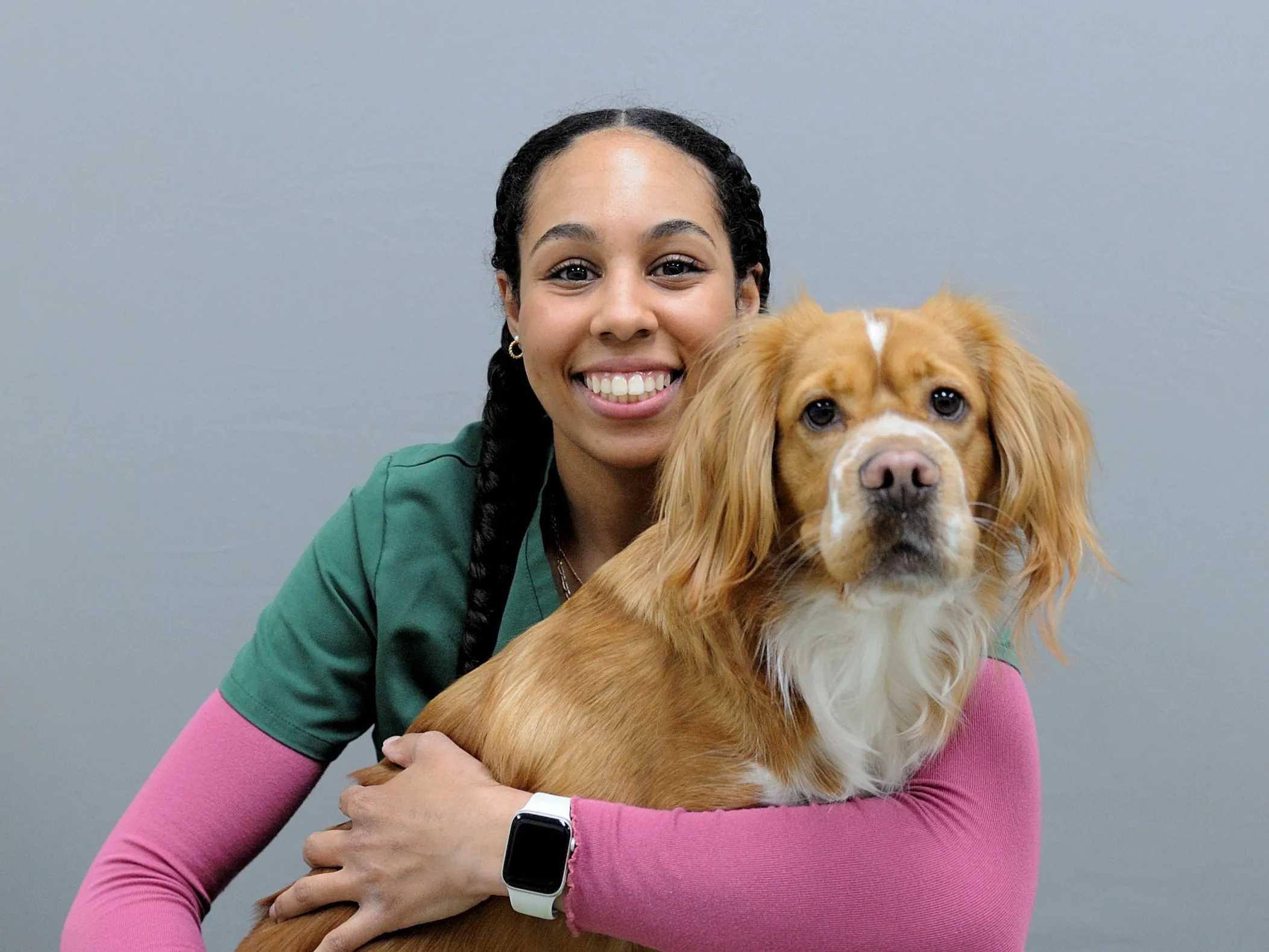 Smiling veterinarian in green and pink scrubs holding a brown and white spaniel against a gray background