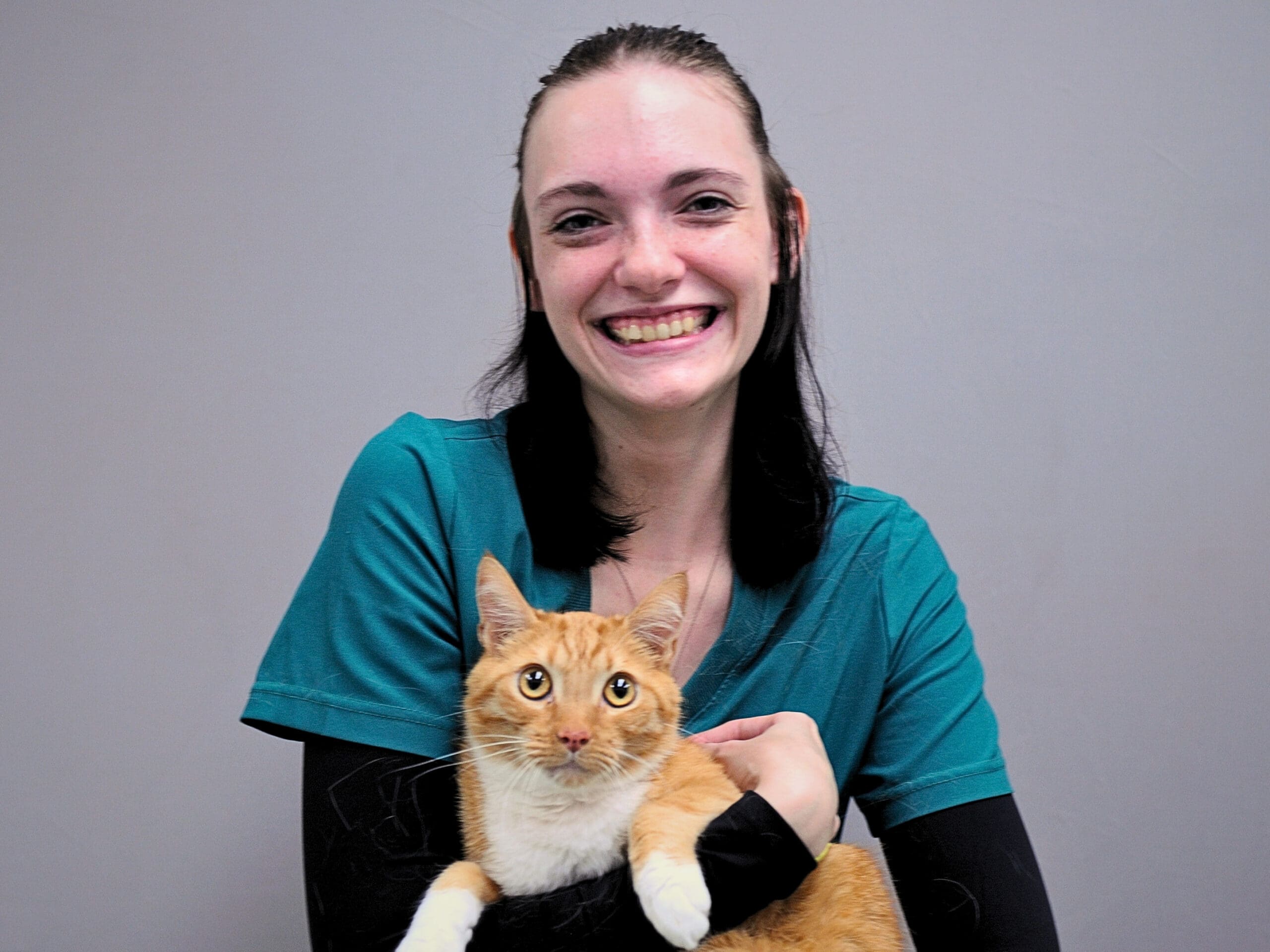 Smiling veterinarian in teal scrubs holding an orange and white cat against a gray background